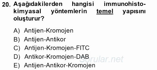 Temel Veteriner Patoloji 2014 - 2015 Ara Sınavı 20.Soru