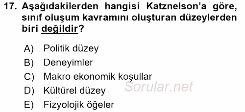 Toplumsal Tabakalaşma ve Eşitsizlik 2015 - 2016 Ara Sınavı 17.Soru