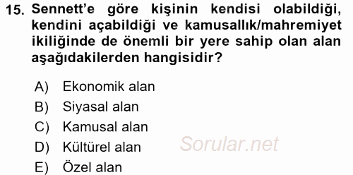 Sosyolojide Yakın Dönem Gelişmeler 2017 - 2018 3 Ders Sınavı 15.Soru