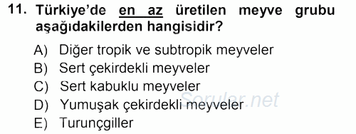 Bahçe Tarımı 1 2012 - 2013 Ara Sınavı 11.Soru