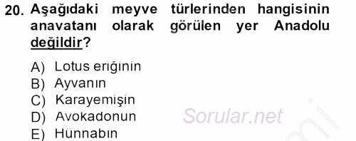 Bahçe Tarımı 1 2012 - 2013 Ara Sınavı 20.Soru