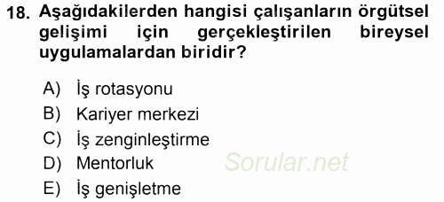 Performans ve Kariyer Yönetimi 2017 - 2018 3 Ders Sınavı 18.Soru