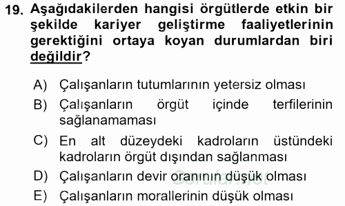 Performans ve Kariyer Yönetimi 2017 - 2018 3 Ders Sınavı 19.Soru