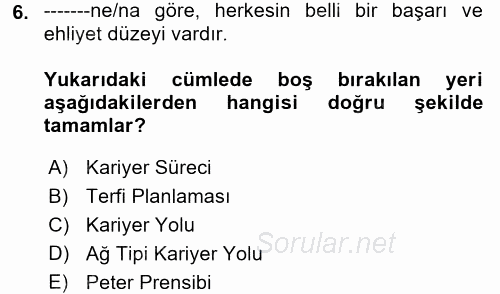 Performans ve Kariyer Yönetimi 2017 - 2018 3 Ders Sınavı 6.Soru