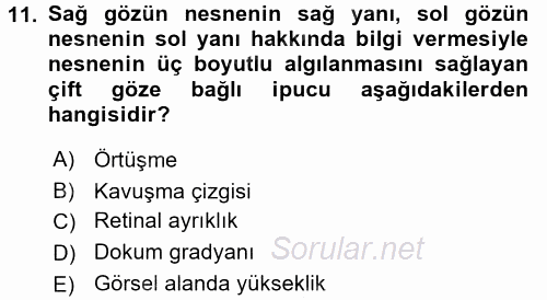 İnsan ve Davranış 2017 - 2018 Ara Sınavı 11.Soru