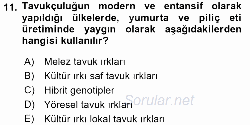 Temel Zootekni 2016 - 2017 Ara Sınavı 11.Soru