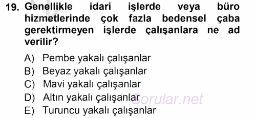 Endüstri İlişkileri 2012 - 2013 Ara Sınavı 19.Soru