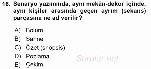 Güzel Sanatlar 2015 - 2016 Tek Ders Sınavı 16.Soru