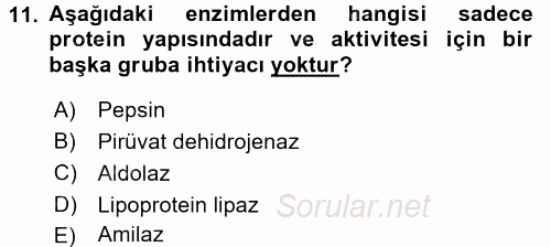 Temel Veteriner Biyokimya 2016 - 2017 Dönem Sonu Sınavı 11.Soru