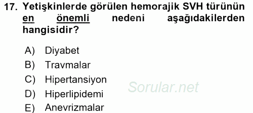 Yaşlılarda Görülebilecek Sorunlar Ve Bakım Hizmetleri 2016 - 2017 Dönem Sonu Sınavı 17.Soru