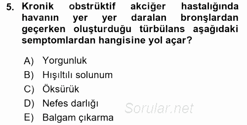 Yaşlılarda Görülebilecek Sorunlar Ve Bakım Hizmetleri 2016 - 2017 Dönem Sonu Sınavı 5.Soru