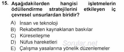 Ücret ve Ödül Yönetimi 2012 - 2013 Dönem Sonu Sınavı 15.Soru