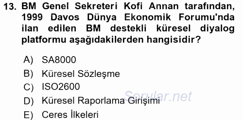 Uluslararası Sosyal Politika 2015 - 2016 Dönem Sonu Sınavı 13.Soru