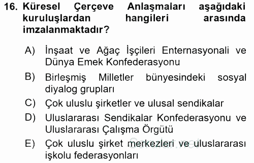 Uluslararası Sosyal Politika 2015 - 2016 Dönem Sonu Sınavı 16.Soru