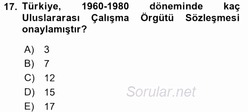 Uluslararası Sosyal Politika 2015 - 2016 Dönem Sonu Sınavı 17.Soru