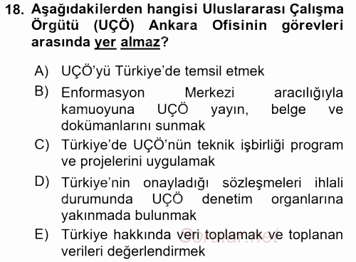 Uluslararası Sosyal Politika 2015 - 2016 Dönem Sonu Sınavı 18.Soru