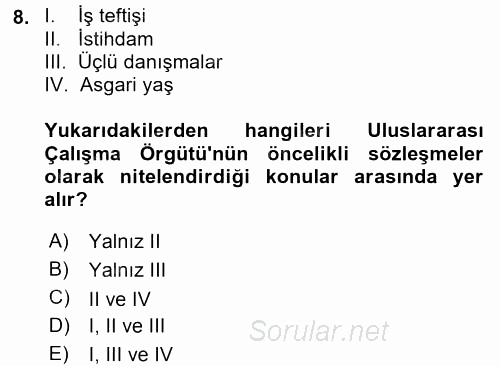 Uluslararası Sosyal Politika 2015 - 2016 Dönem Sonu Sınavı 8.Soru