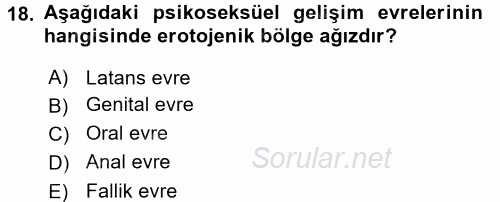 Engellilerde Ruh Sağlığı 2017 - 2018 Ara Sınavı 18.Soru