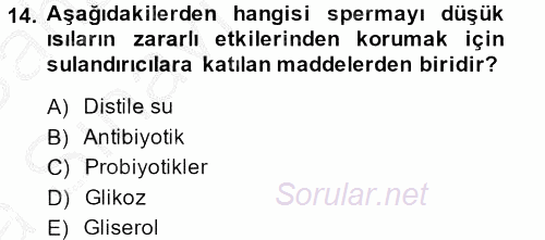 Doğum Bilgisi ve Suni Tohumlama 2013 - 2014 Ara Sınavı 14.Soru