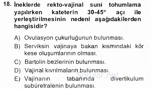 Doğum Bilgisi ve Suni Tohumlama 2013 - 2014 Ara Sınavı 18.Soru