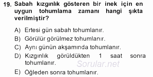 Doğum Bilgisi ve Suni Tohumlama 2013 - 2014 Ara Sınavı 19.Soru