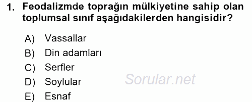 Sosyal Sorunlar 2015 - 2016 Ara Sınavı 1.Soru