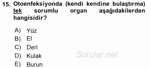 Temel Sağlık Hizmetleri 2015 - 2016 Ara Sınavı 15.Soru