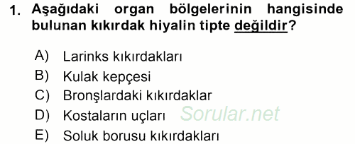 Temel Veteriner Histoloji ve Embriyoloji 2017 - 2018 Dönem Sonu Sınavı 1.Soru