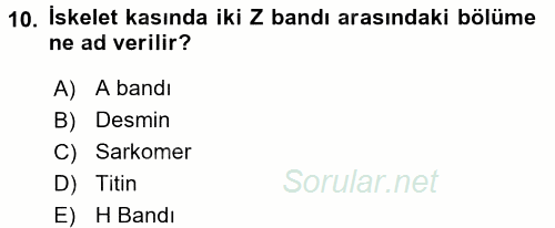 Temel Veteriner Histoloji ve Embriyoloji 2017 - 2018 Dönem Sonu Sınavı 10.Soru