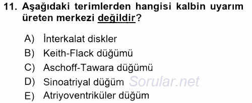 Temel Veteriner Histoloji ve Embriyoloji 2017 - 2018 Dönem Sonu Sınavı 11.Soru