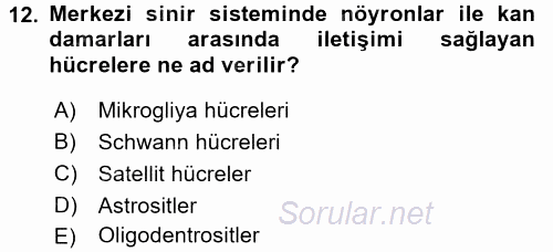 Temel Veteriner Histoloji ve Embriyoloji 2017 - 2018 Dönem Sonu Sınavı 12.Soru