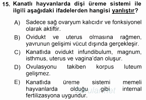 Temel Veteriner Histoloji ve Embriyoloji 2017 - 2018 Dönem Sonu Sınavı 15.Soru