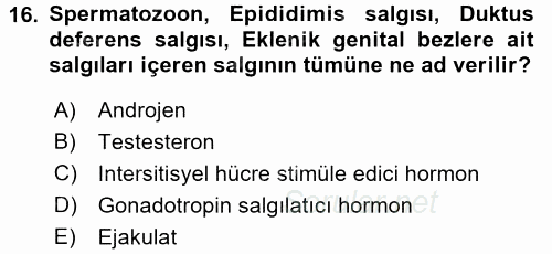 Temel Veteriner Histoloji ve Embriyoloji 2017 - 2018 Dönem Sonu Sınavı 16.Soru