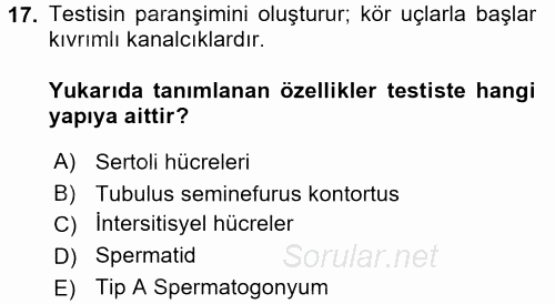 Temel Veteriner Histoloji ve Embriyoloji 2017 - 2018 Dönem Sonu Sınavı 17.Soru