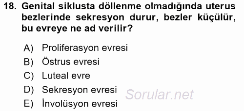 Temel Veteriner Histoloji ve Embriyoloji 2017 - 2018 Dönem Sonu Sınavı 18.Soru