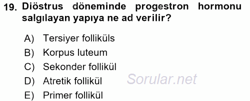 Temel Veteriner Histoloji ve Embriyoloji 2017 - 2018 Dönem Sonu Sınavı 19.Soru