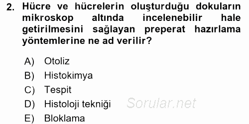 Temel Veteriner Histoloji ve Embriyoloji 2017 - 2018 Dönem Sonu Sınavı 2.Soru