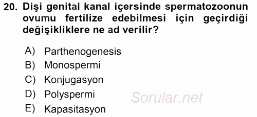 Temel Veteriner Histoloji ve Embriyoloji 2017 - 2018 Dönem Sonu Sınavı 20.Soru
