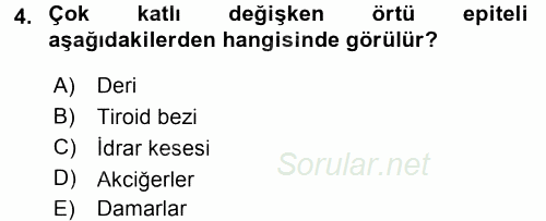 Temel Veteriner Histoloji ve Embriyoloji 2017 - 2018 Dönem Sonu Sınavı 4.Soru