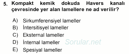 Temel Veteriner Histoloji ve Embriyoloji 2017 - 2018 Dönem Sonu Sınavı 5.Soru