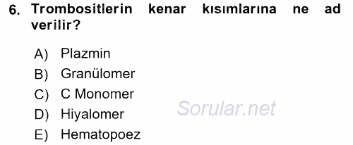 Temel Veteriner Histoloji ve Embriyoloji 2017 - 2018 Dönem Sonu Sınavı 6.Soru