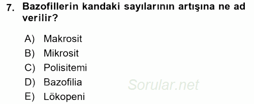 Temel Veteriner Histoloji ve Embriyoloji 2017 - 2018 Dönem Sonu Sınavı 7.Soru