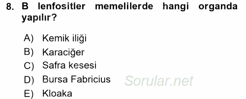 Temel Veteriner Histoloji ve Embriyoloji 2017 - 2018 Dönem Sonu Sınavı 8.Soru