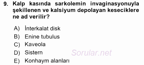 Temel Veteriner Histoloji ve Embriyoloji 2017 - 2018 Dönem Sonu Sınavı 9.Soru