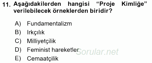 Sosyolojide Yakın Dönem Gelişmeler 2015 - 2016 Tek Ders Sınavı 11.Soru