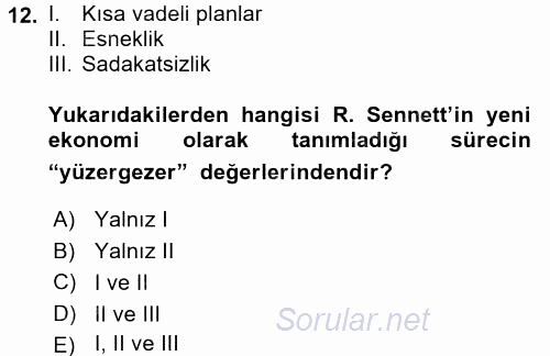 Sosyolojide Yakın Dönem Gelişmeler 2015 - 2016 Tek Ders Sınavı 12.Soru