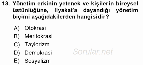 Sosyolojide Yakın Dönem Gelişmeler 2015 - 2016 Tek Ders Sınavı 13.Soru