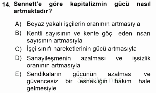 Sosyolojide Yakın Dönem Gelişmeler 2015 - 2016 Tek Ders Sınavı 14.Soru