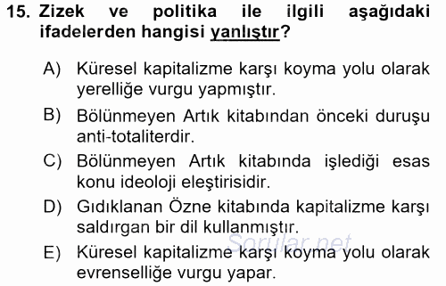 Sosyolojide Yakın Dönem Gelişmeler 2015 - 2016 Tek Ders Sınavı 15.Soru