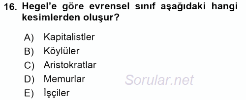 Sosyolojide Yakın Dönem Gelişmeler 2015 - 2016 Tek Ders Sınavı 16.Soru